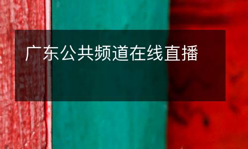 廣東公共頻道在線直播