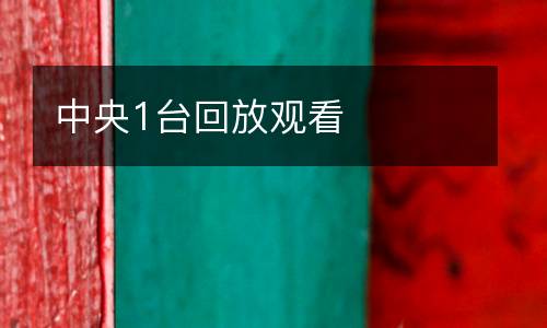 中央1臺(tái)回放觀看