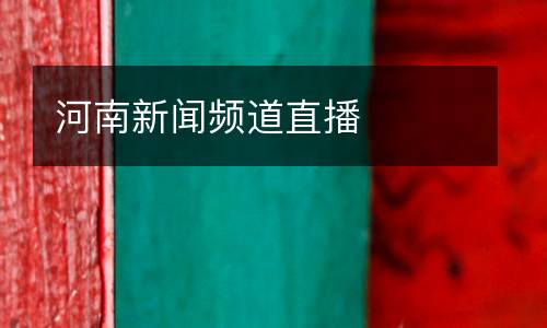 河南新聞?lì)l道直播