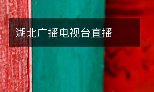 湖北廣播電視臺直播
