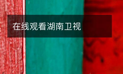 在線觀看湖南衛(wèi)視